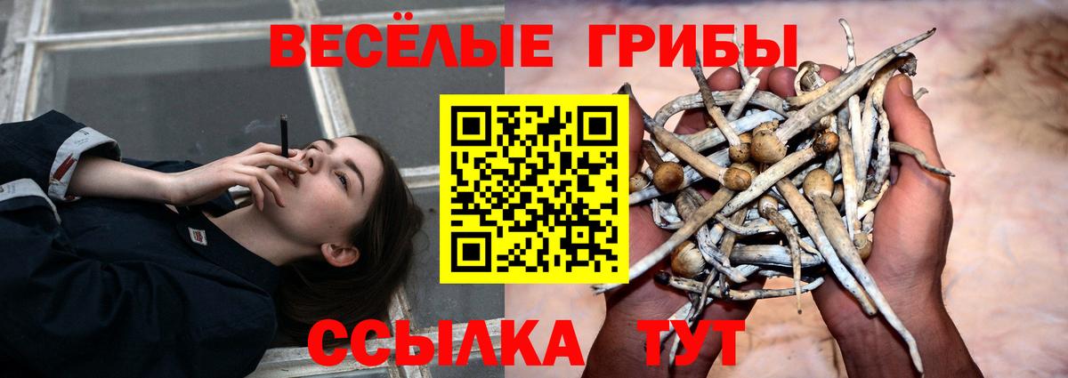 Галлюциногенные грибы Psilocybe  Галлюциногенные грибы ЛСД  Вход с VPN  Еманжелинск 